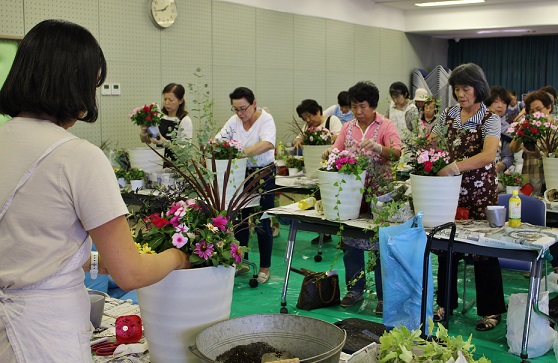 寄せ植えの様子